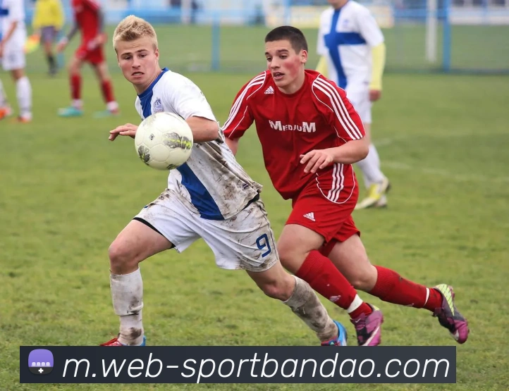 多媒体互动体验